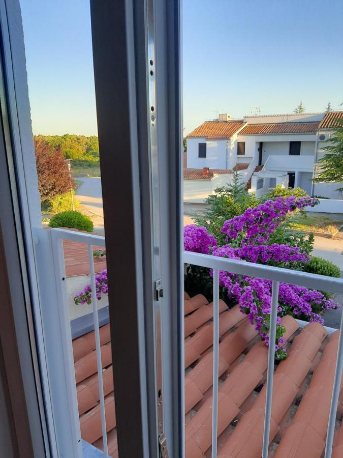 Apartment Enis Barbariga Exterior photo