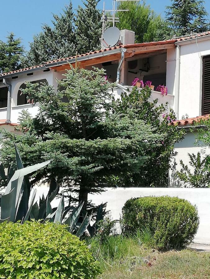 Apartment Enis Barbariga Exterior photo